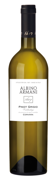 Image of Albino Armani Pinot Grigio Corvara DOC - 75cl - Veneto, Italien bei Flaschenpost.ch