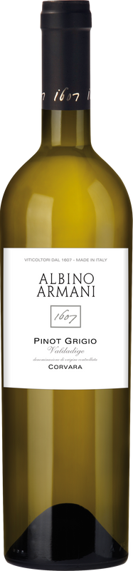 Bottiglia di Pinot Grigio Corvara DOC di Albino Armani