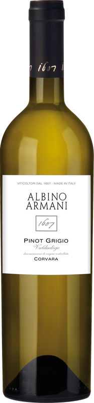 Pinot Grigio Corvara DOC 2022 Albino Armani Flaschenpost