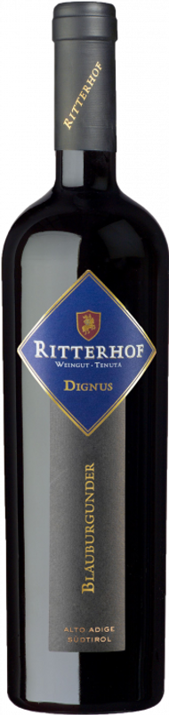 Bottiglia di Dignus Südtiroler Blauburgunder DOC di Ritterhof