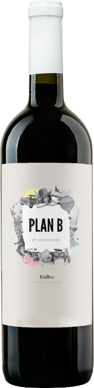 Bottle of Plan B Malbec from Bodega Budeguer
