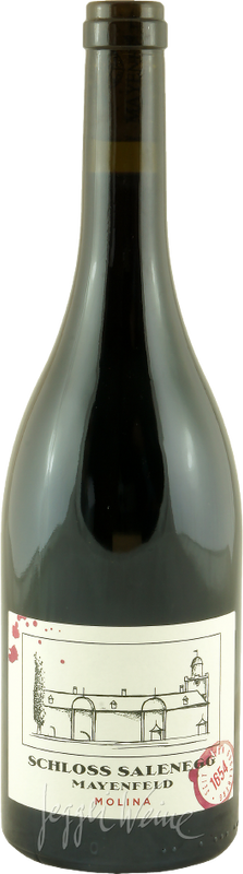 Bottiglia di Pinot Noir Molina AOC GR di Schloss Salenegg