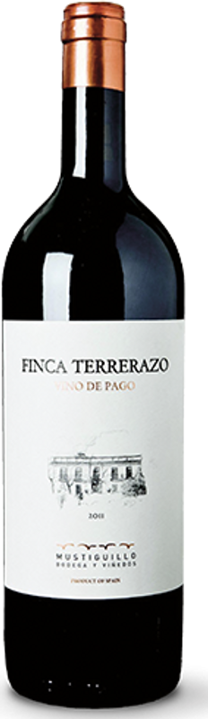 Flasche Finca Terrerazo Vino de Pago von Mustiguillo