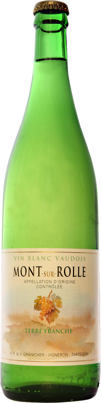 Bottiglia di Terre Franche Mont-sur-Rolle AOC di Waadt Verschiedene
