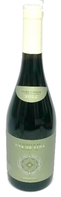 Image of Carmen López Delgado i Luis Ruiz Martin Biografico Toledo - 75cl - Meseta, Spanien bei Flaschenpost.ch