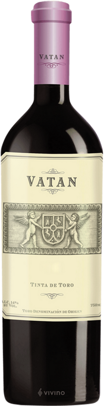 Flasche Toro DO Vatan von Bodegas Jorge Ordonez