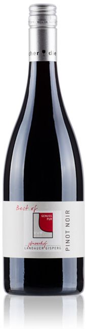 Image of Winzerhof Landauer-Gisperg Pinot Noir Best of - 75cl - Thermenregion, Österreich bei Flaschenpost.ch