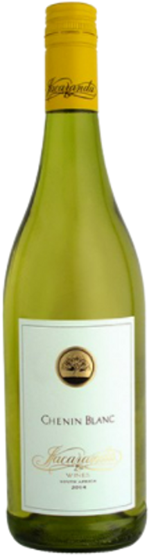 Bottle of Jacaranda Chenin Blanc Horizon from Jacaranda