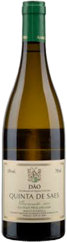 Bottle of Dão DOC Quinta da Saes Encruzado from Alvaro Castro