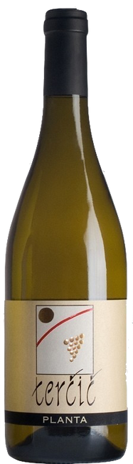 Image of Matijaz Tercic Planta DOC Collio Bianco - 75cl - Friaul, Italien bei Flaschenpost.ch