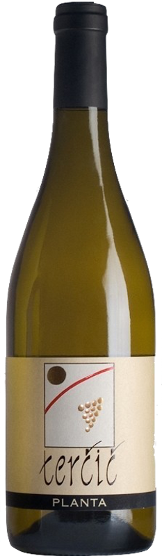Bottle of Planta DOC Collio Bianco from Matijaz Tercic