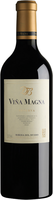 Bottiglia di Vina Magna Ribera del Duero Reserva DOP di Dominio Basconcillos