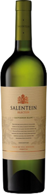 Flasche Sauvignon Blanc Barrel Selection von Salentein