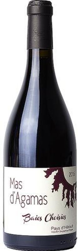 Image of Domaine Mas d'Agamas Baies Choisies Terrasses du Larzac AOP - 75cl - Midi - Languedoc-Roussillon, Frankreich