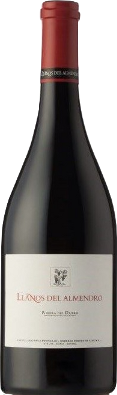 Image of Dominio de Atauta Llanos del Almendro DO - 75cl - Duero-Tal (Castilla y Leon), Spanien