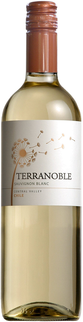 Image of Terra Noble Sauvignon blanc Reserva - 75cl - Aconcagua, Chile bei Flaschenpost.ch