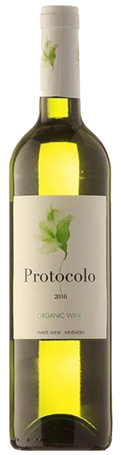 Image of Dominio de Eguren Protocolo Blanco Organico VdT BIO - 75cl - Meseta, Spanien bei Flaschenpost.ch