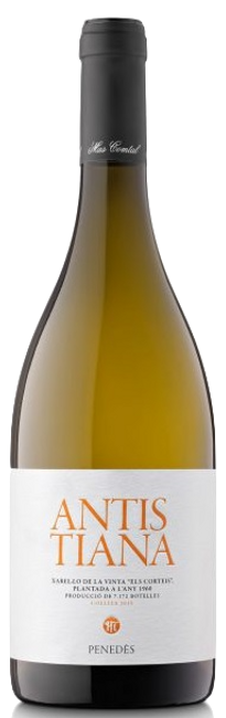 Image of Mas Comtal Antistiana Xarel-lo DO Penedes - 150cl - Katalonien, Spanien bei Flaschenpost.ch