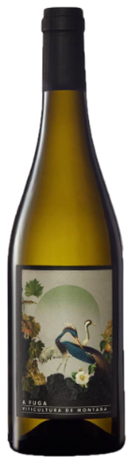 Image of Abadía Da Cova A Fuga blanco Ribeira Sacra DO - 75cl - Galizien, Spanien bei Flaschenpost.ch