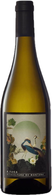 Image of Abadía Da Cova A Fuga blanco Ribeira Sacra DO - 75cl - Galizien, Spanien