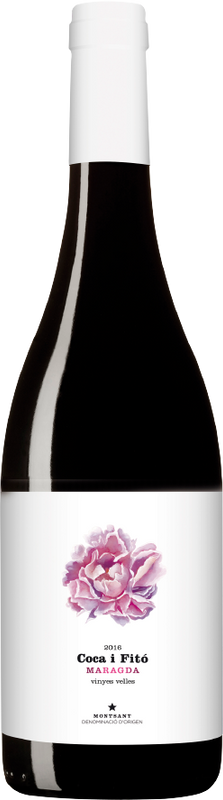 Bottiglia di Maragda Monsant DO di Coca i Fitó