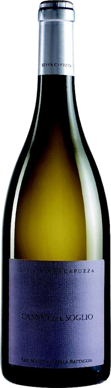 Bottle of Campo del Soglio San Martino della Battaglia DOC from Selva Capuzza