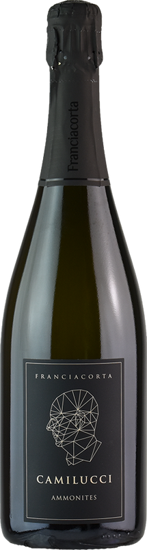 Bottle of Ammonites Franciacorta Brut DOCG from Camilucci