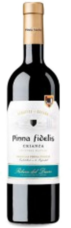 Bottiglia di Ribera del Duero DO Crianza di Pinna Fidelis