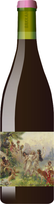 Flasche BAKKANALI ROSA Rosato Toscana IGT von Bakkanali