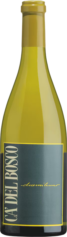 Bottle of Selva della Tesa Sebino Chardonnay IGT from Ca' Del Bosco