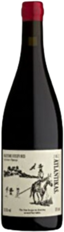 Bottle of Pinotage Atlantikas from Scions of Sinai