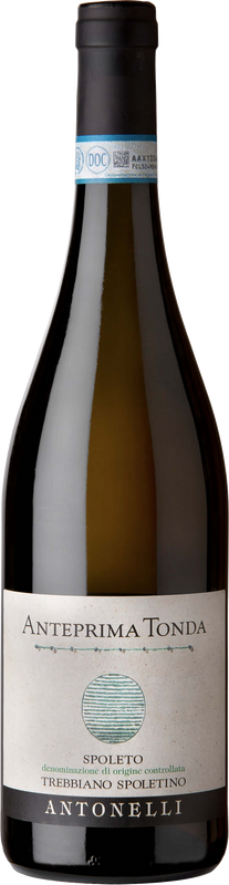 Flasche Anteprima Tonda Trebbiano Spoletino Antonelli von Antonelli