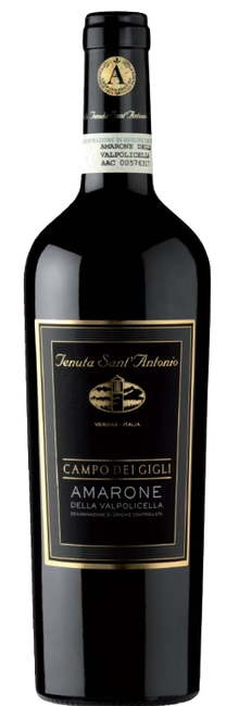 Image of Tenuta Sant'Antonio Amarone Della Valpolicella DOCG Cdgigli Sant Antonio - 150cl - Veneto, Italien bei Flaschenpost.ch