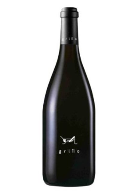 Image of Bodegas El Grillo y la Luna Somontano DO Grillo - 150cl - Somontano, Spanien bei Flaschenpost.ch
