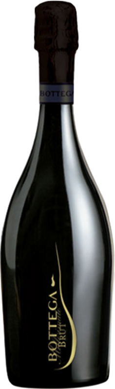 Bottle of Prosecco Treviso DOC Brut from Bottega