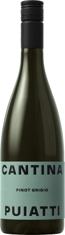 Bottle of Pinot Grigio Friuli DOP from Puiatti Vigneti