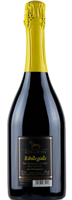 Image of Collavini Ribolla Gialla Spumante V.S.Q. Brut - 75cl - Friaul, Italien bei Flaschenpost.ch