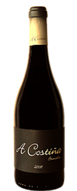 Image of Adega Alan A Costiña DO Valdeorras Brancellao - 75cl bei Flaschenpost.ch