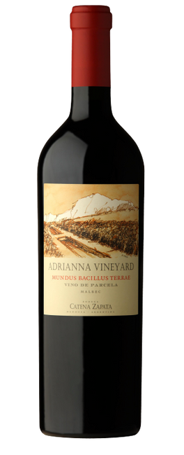Image of Catena Zapata Mundus Bacillus Terrae Vin d'Argentine AOC - 150cl, Argentinien bei Flaschenpost.ch