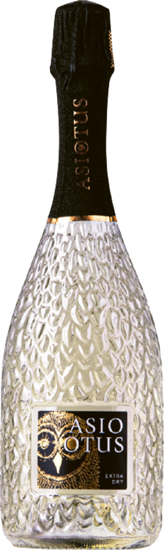Bottle of Asio Otus Bianco Spumante Extra Dry Vino d'Italia from Mondo del Vino