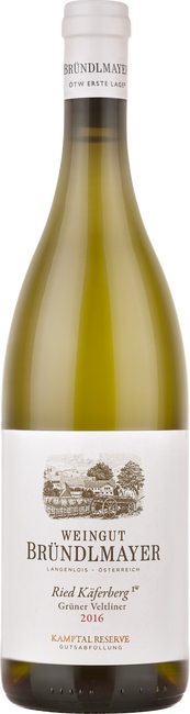 Image of Weingut Bründlmayer Grüner Veltliner Käferberg - 75cl - Niederösterreich, Österreich bei Flaschenpost.ch