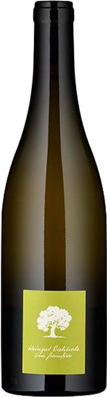 Flasche Sauvignon Blanc Graubünden AOC von Weingut Eichholz