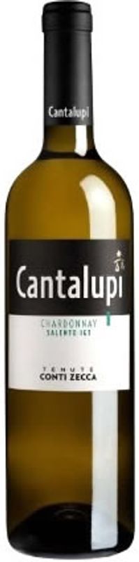 Bottle of Salento IGT Chardonnay Cantalupi from Conti Zecca