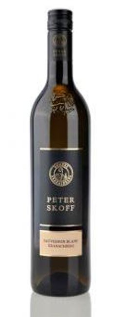 Image of Peter Skoff Morillon Gamlitz - 75cl - Steiermark, Österreich bei Flaschenpost.ch