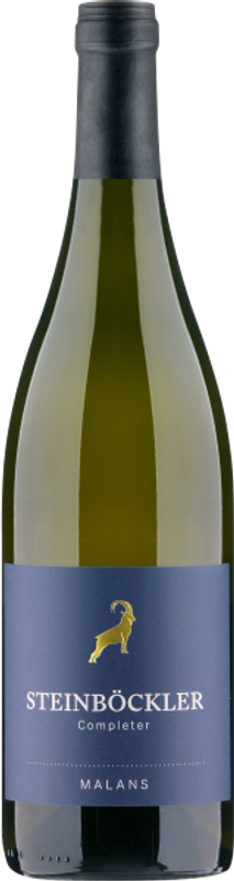 Bottle of Steinböckler Completer Barrique Malans AOC Graubünden from Rutishauser-Divino