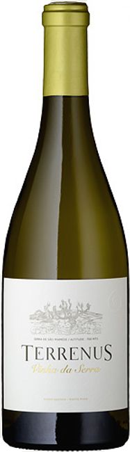Image of Rui Reguinga Enologia Lda Terrenus Vinha da Serra Branco - 75cl - Alentejo, Portugal bei Flaschenpost.ch