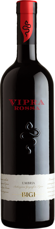 Flasche Vipra Rossa IGT von Luigi Bigi