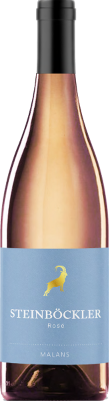 Bottle of Steinböckler Rosé Malans AOC Graubünden from Rutishauser-Divino