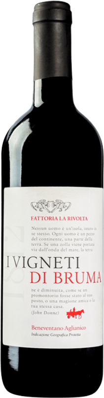 Bottle of Falanghina Vigneti di Bruma Beneventano IGT from Fattoria La Rivolta