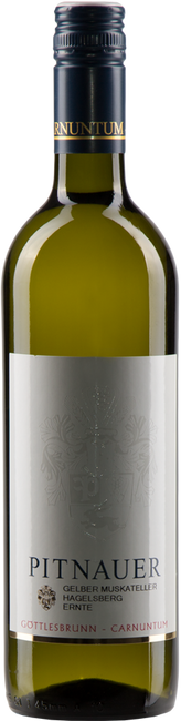 Image of Weingut Pitnauer Gelber Muskateller - 75cl - Carnuntum, Österreich bei Flaschenpost.ch